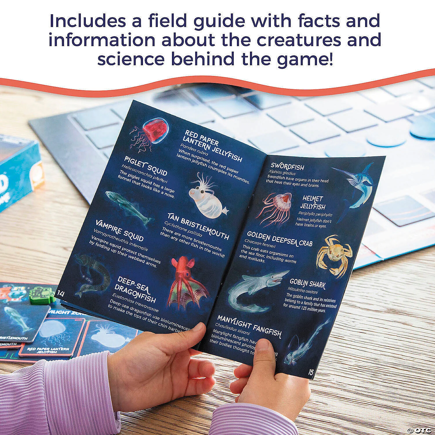 Search for Giant Squid Game - Image 4