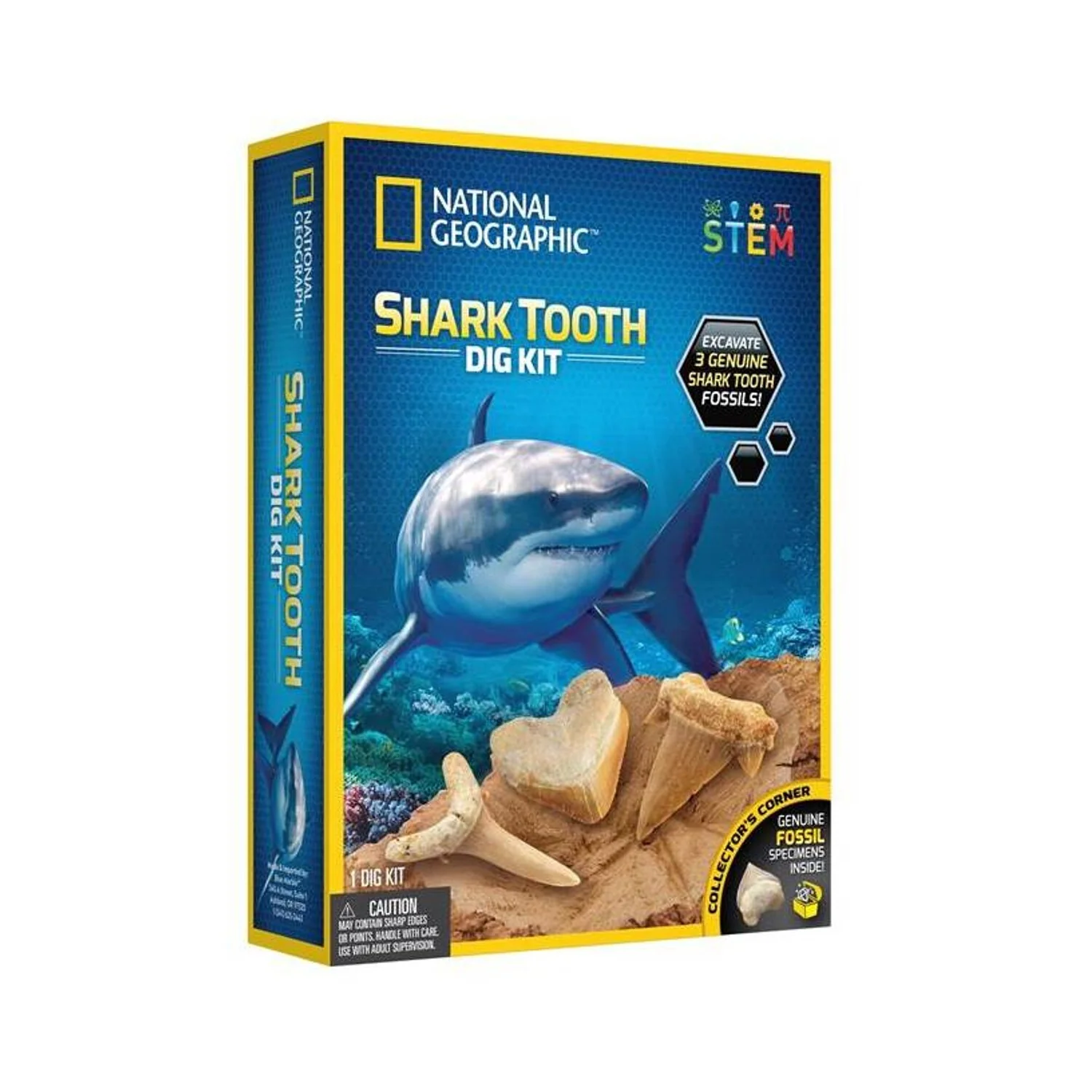 Shark Tooth Dig
