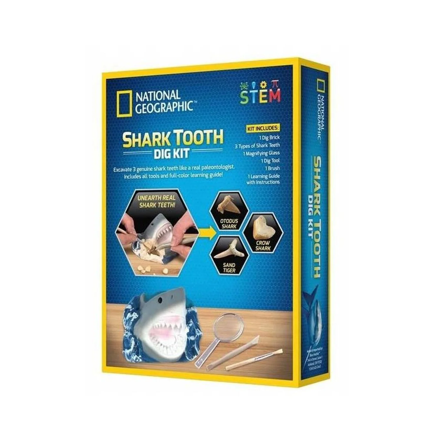 Shark Tooth Dig - Image 2