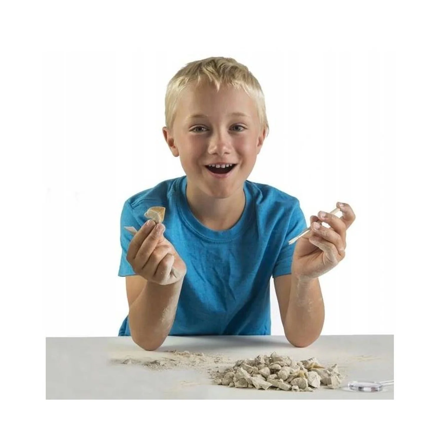 Shark Tooth Dig - Image 4