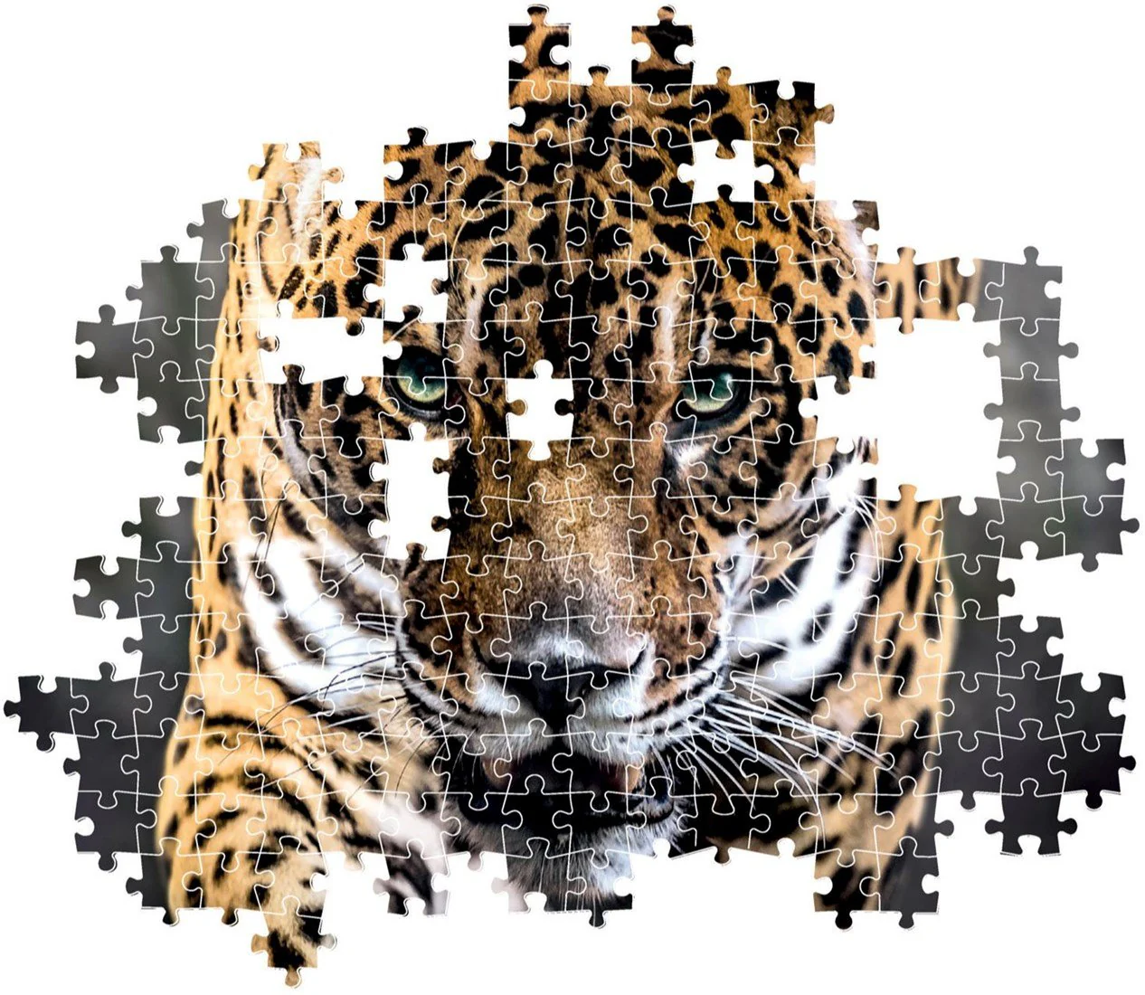 Walk of the Jaguar 1000 Piece Jigsaw - Image 3