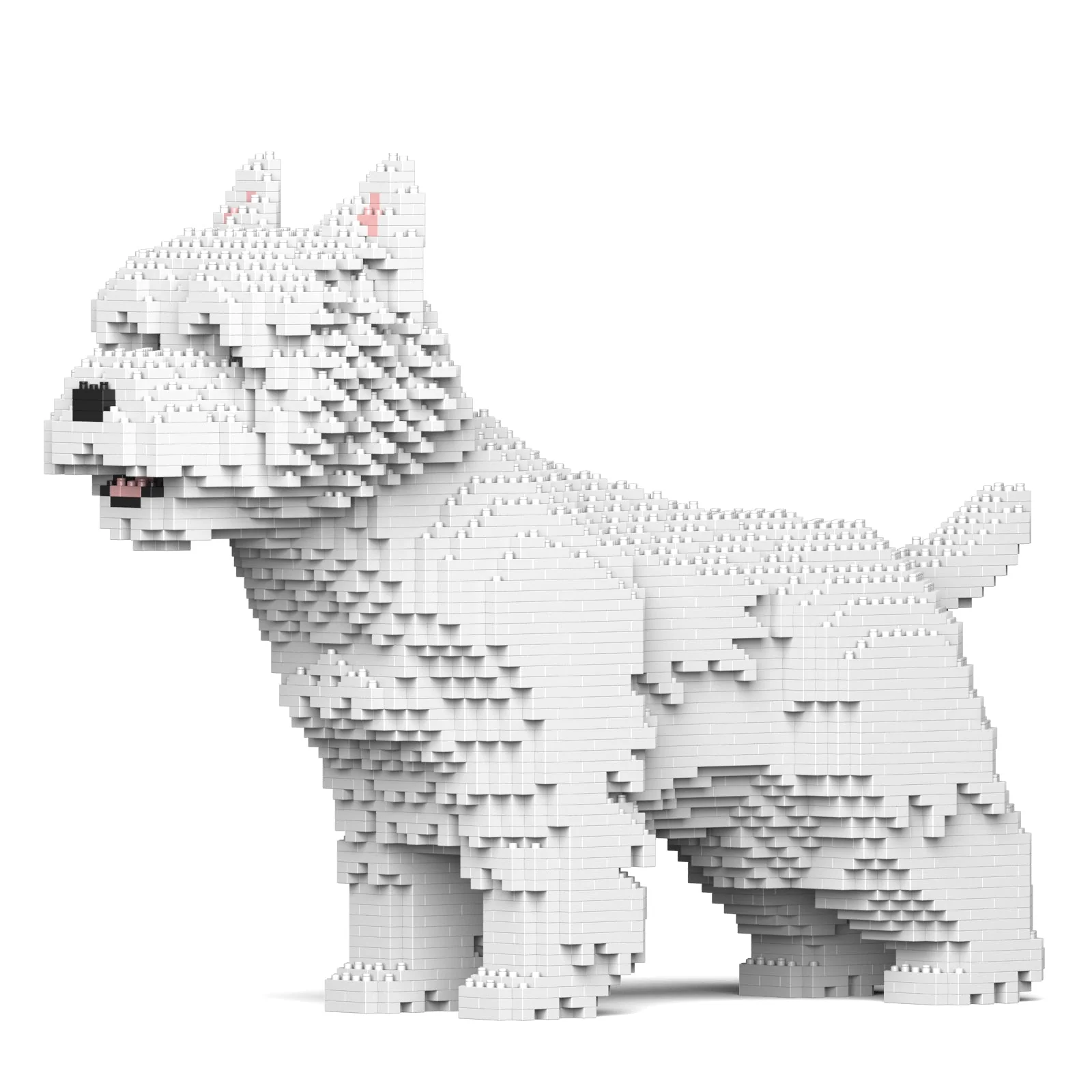 West Highland White Terrier 02S