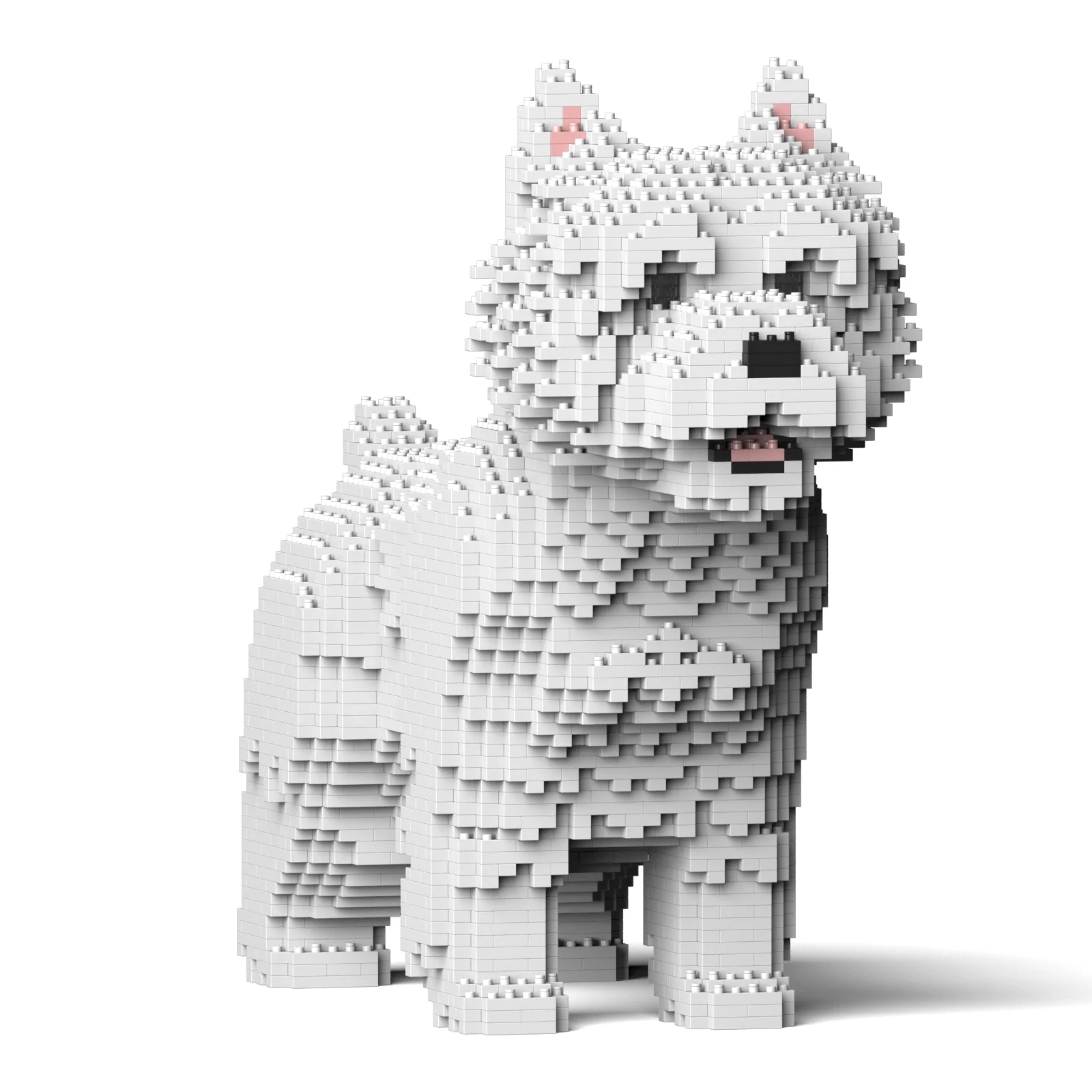 West Highland White Terrier 02S - Image 2