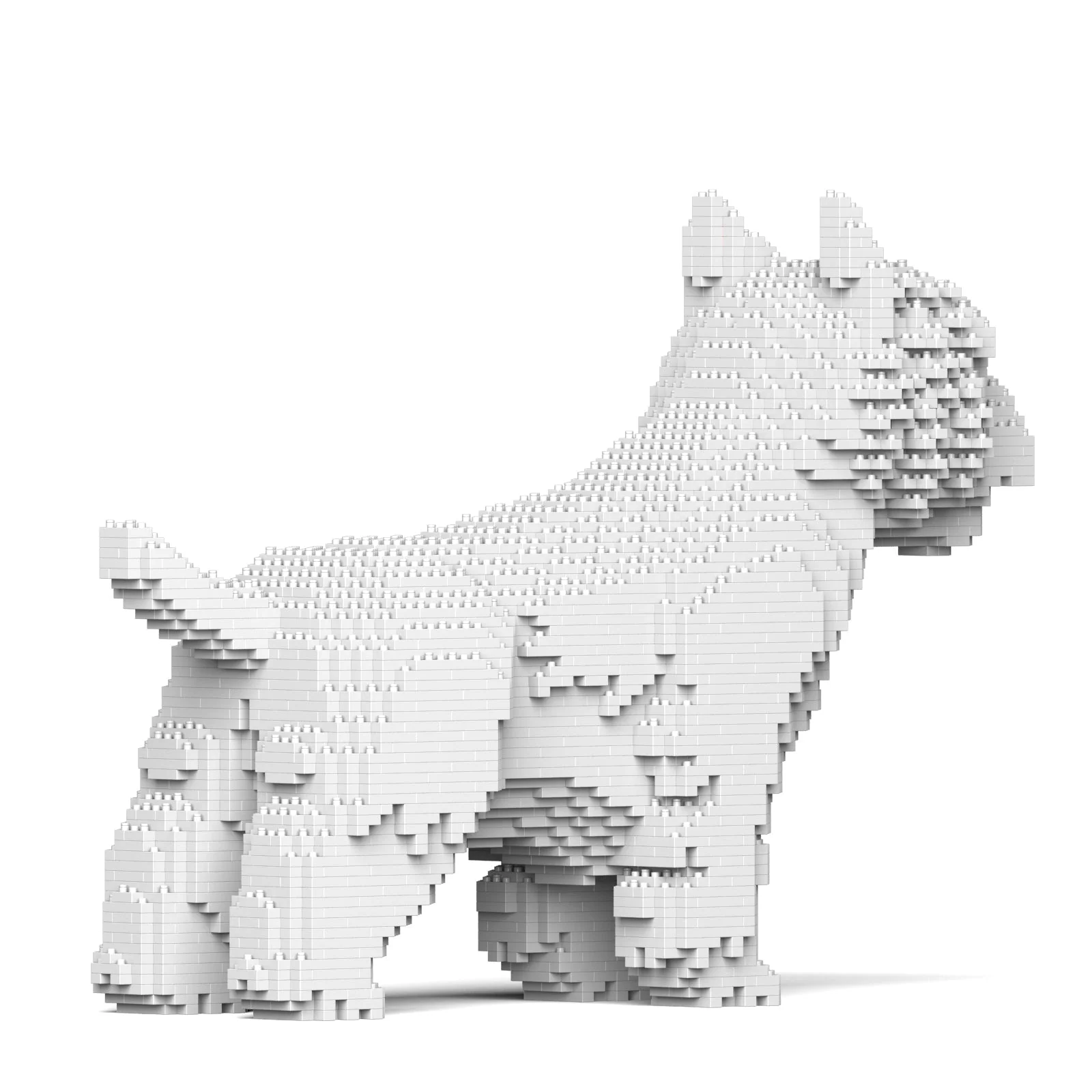 West Highland White Terrier 02S - Image 3