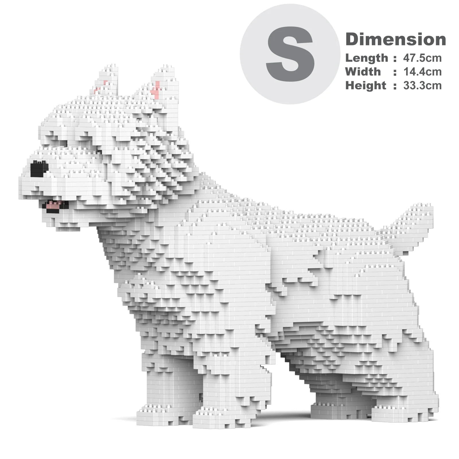 West Highland White Terrier 02S - Image 4