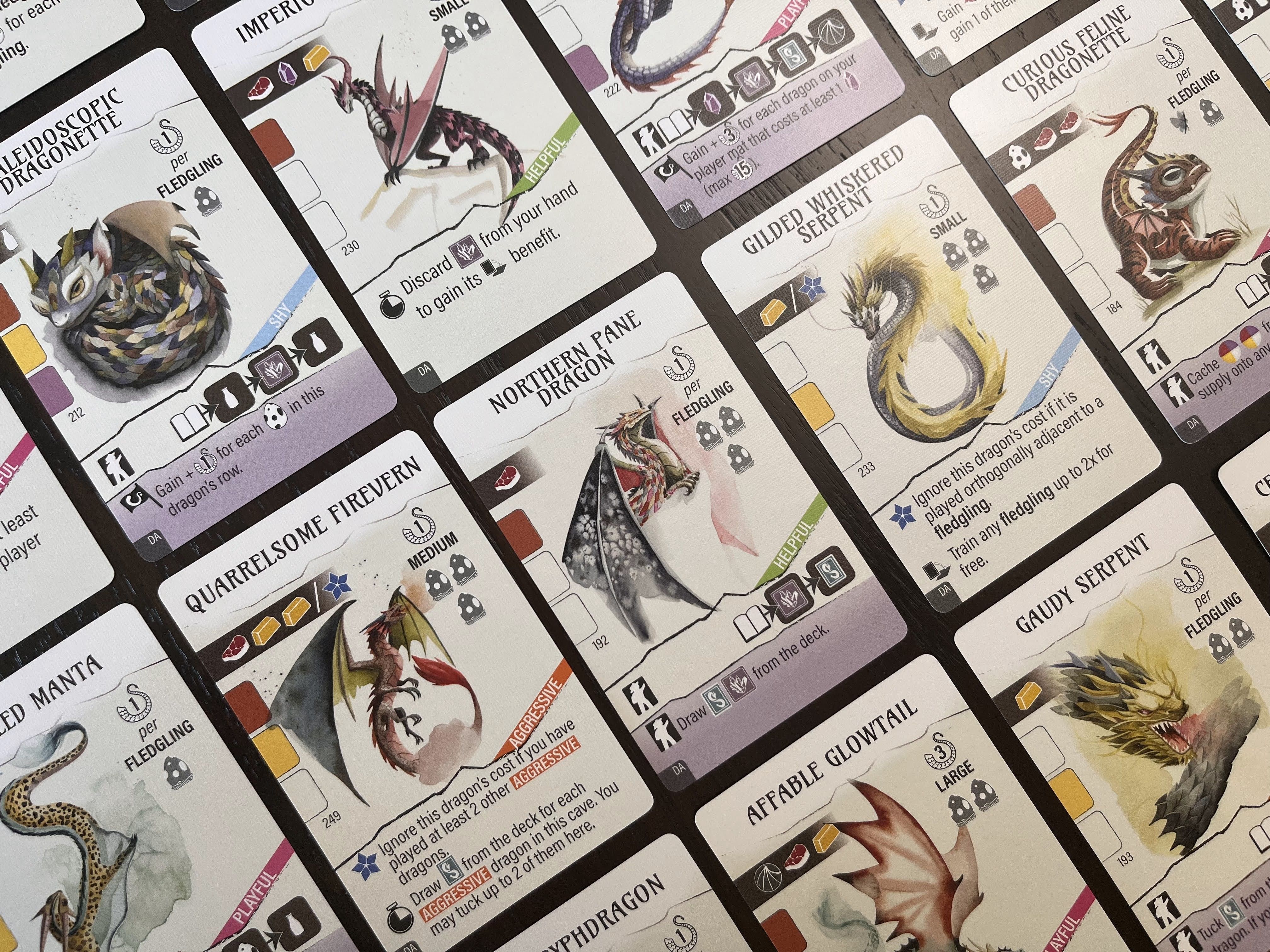 Wyrmspan: Dragon Academy - Image 7